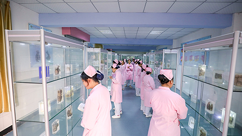 重庆公立卫校有哪些
